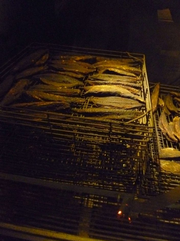 七星柴魚博物館 攝影：陳皮梅