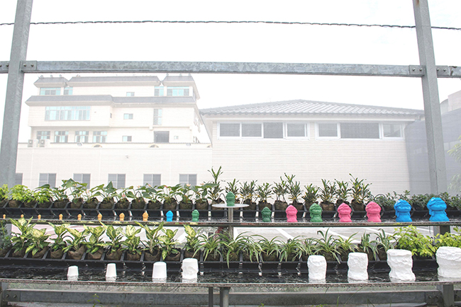 水凝胶公仔花园 摄影：虹泰水凝膠世界