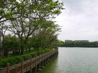 天鹅湖环湖木栈道<br/> 摄影：旅遊王攝影組