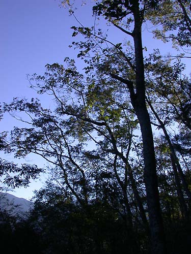 Photo:阿英的登山小站