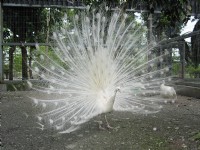 Photo:童永銓
