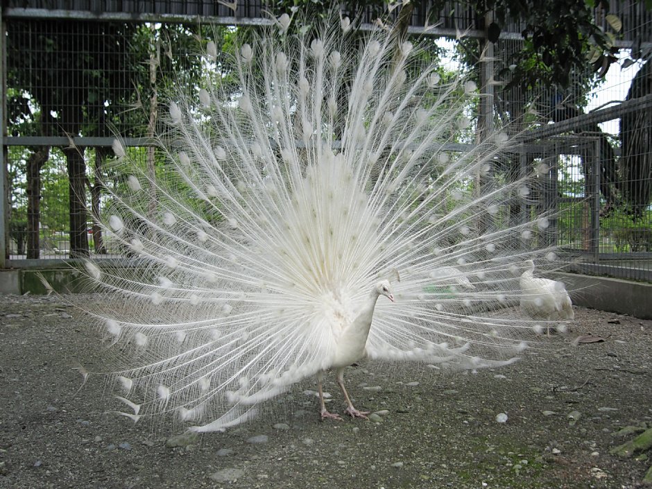 Photo:童永銓