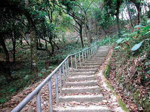 登山步道入口 攝影：雲林縣政府