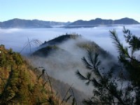 清晨的美景!<br/> 摄影：阿英的登山小站