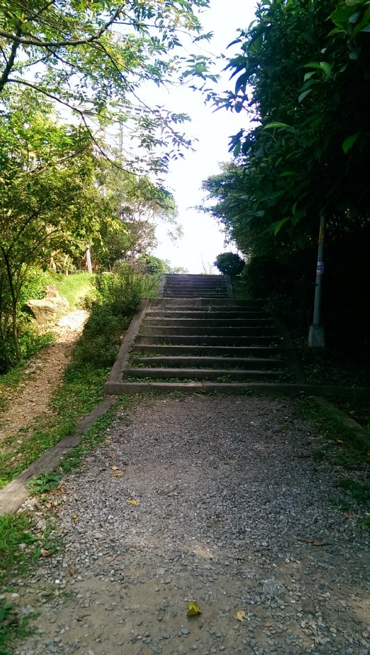 二叭子植物园 摄影：Eva隨手拍