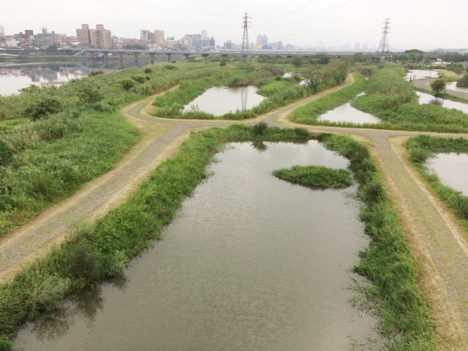 新海人工湿地 摄影：Eva隨手拍