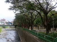 莺歌陶瓷老街<br/> 摄影：Eva隨手拍