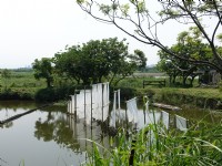 Photo:meiyin