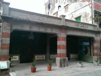 新长兴树记<br/> 摄影：Eva隨手拍
