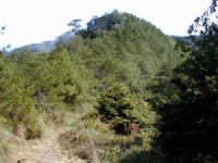 山丘<br/> 摄影：老山羊