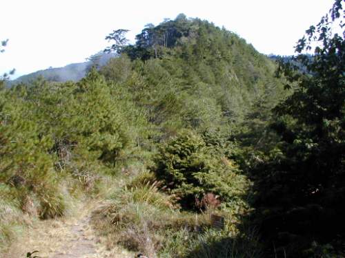 山丘 摄影：老山羊