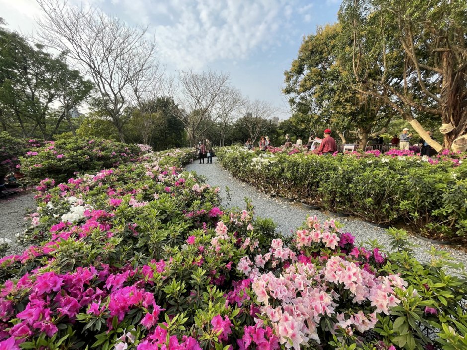 Photo:Eva隨手拍