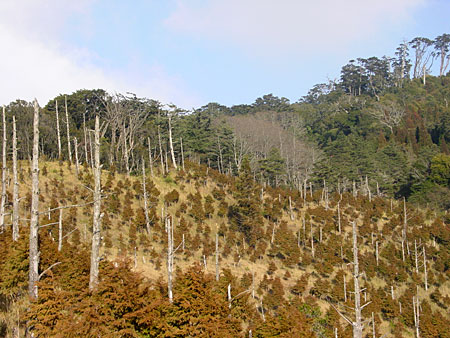 Photo:鄭惠文