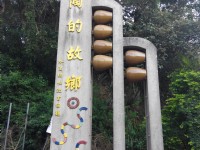 水里<br/> 攝影：Lu