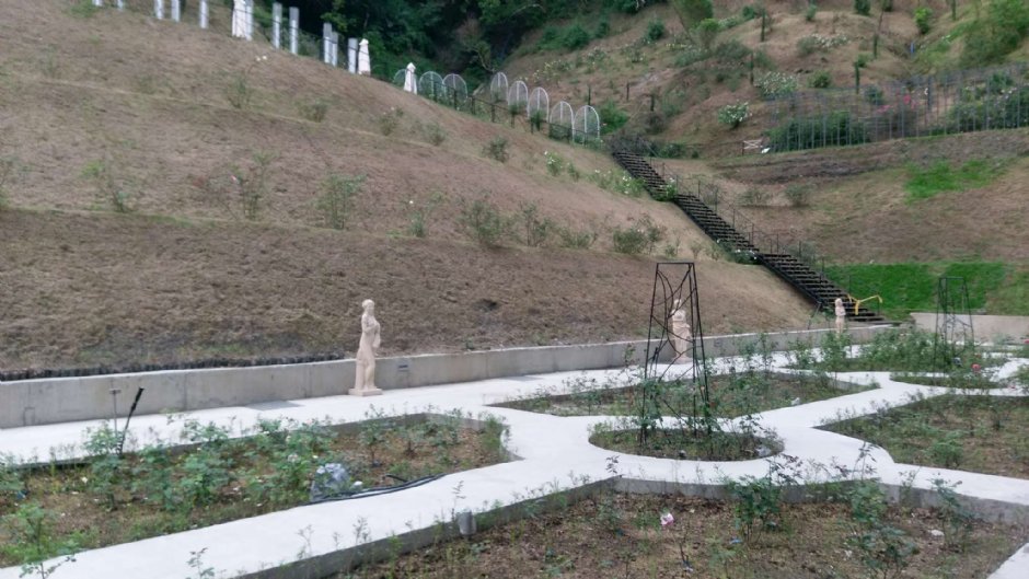 雅闻七里香玫瑰森林 摄影：Eva隨手拍