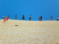 Photo:amo