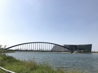 Photo:陳皮梅