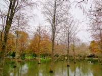 钰展苗圃<br/> 摄影：Eva隨手拍