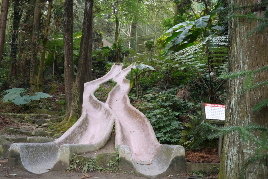 Photo:三井