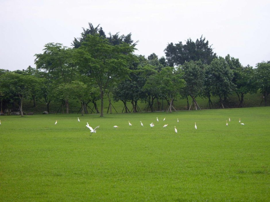 Photo:老山羊部落格