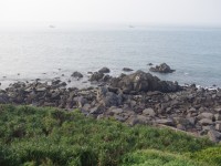 Photo:Eva隨手拍