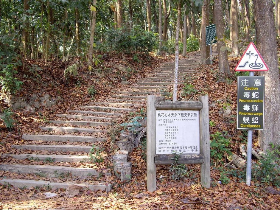 環潭步道 攝影：老山羊資訊網