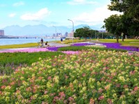 延平河濱公園（2023花海）<br/> 攝影：圖片來源_台北市政府工務局水利處官網