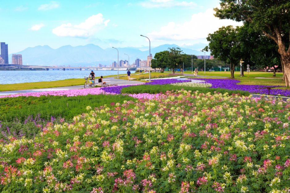 延平河濱公園（2023花海） 攝影：圖片來源_台北市政府工務局水利處官網