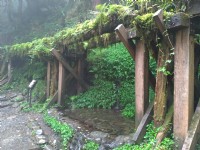 見晴懷古步道<br/> 攝影：meiyin