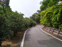 青青草原<br/> 攝影：Lu