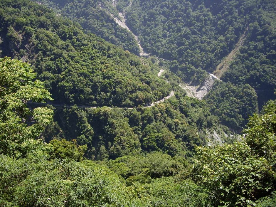 Photo:老山羊資訊網