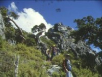 小霸步道<br/> 摄影：陳勇霖