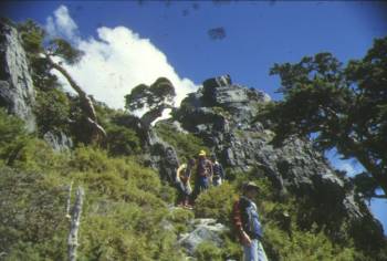 小霸步道 摄影：陳勇霖
