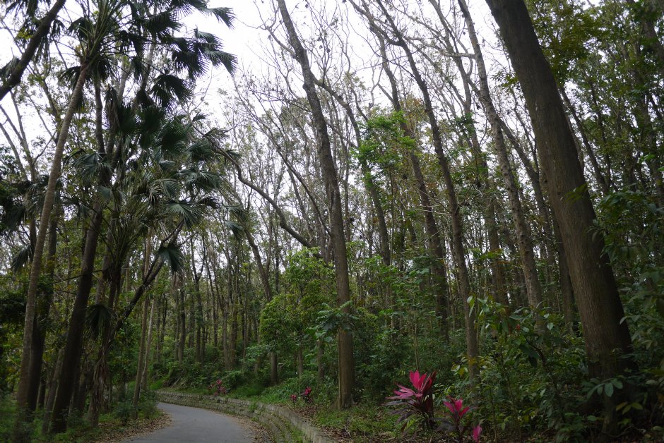 新化植物園 攝影：旅遊王攝影組