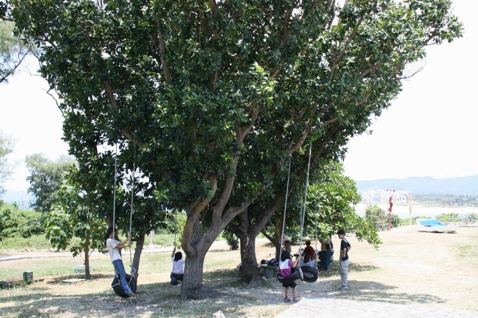Photo:老山羊部落格