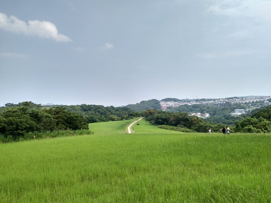 青青草原 攝影：Lu
