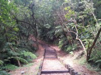 大仑头山森林步道<br/> 摄影：Lu