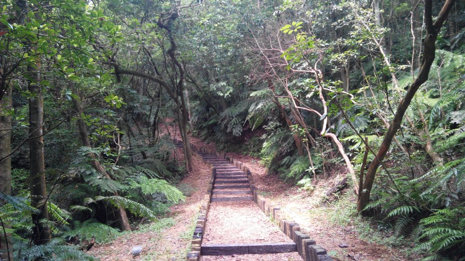 大仑头山森林步道 摄影：Lu