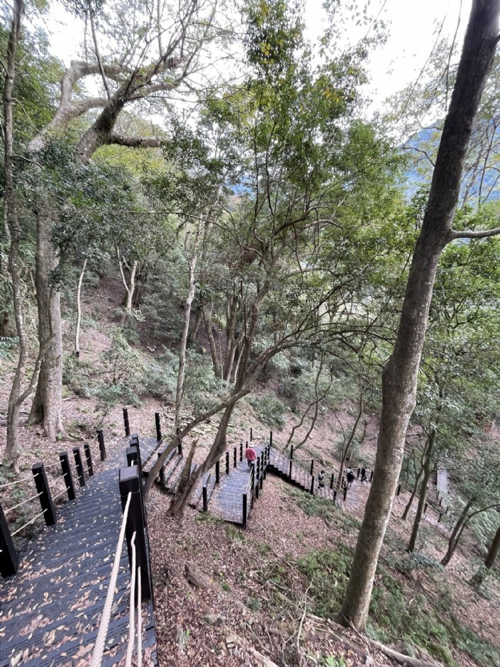雪山坑環線步道 攝影：Eva隨手拍