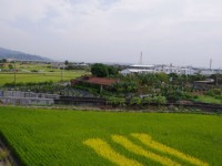 蔺草文化馆前彩绘稻田<br/> 摄影：Eva隨手拍