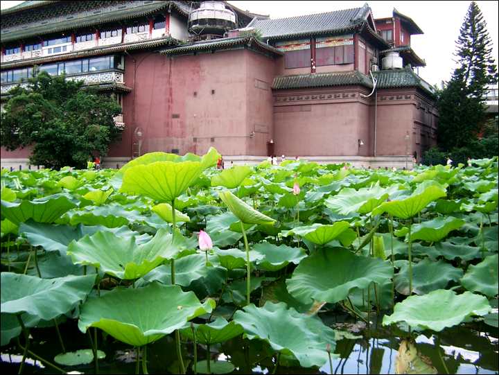 Photo:Eva隨手拍