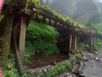 見晴懷古步道<br/> 攝影：meiyin