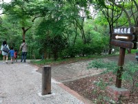 由貓狸山公園即可前往<br/> 攝影：Eva隨手拍