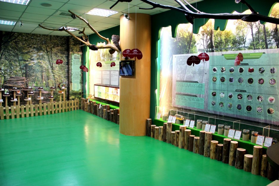 一景 摄影：麗豐微酵館 提供