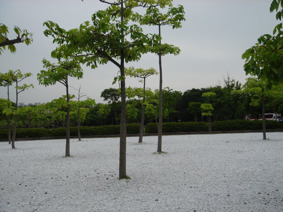 精致花园展示 摄影：陳美吟
