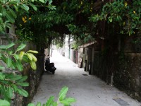 眷村文化园区(笃行十村)<br/> 摄影：sheng