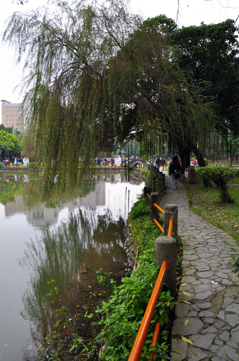台大醉月湖.... 摄影：amo