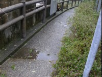 鸣凤山古道<br/> 摄影：Eva隨手拍