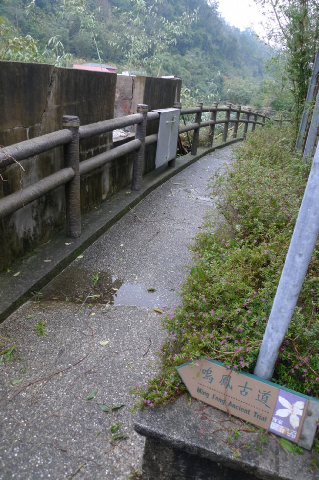鸣凤山古道 摄影：Eva隨手拍
