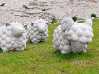 化仁海堤<br/> 摄影：Eva隨手拍